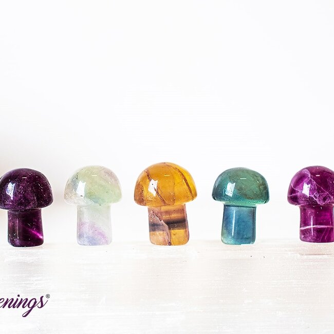 Rainbow Fluorite Mushroom- Mini