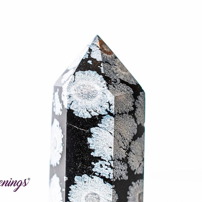 Black Snowflake Obsidian Tower Point Generator - Medium (2-3")