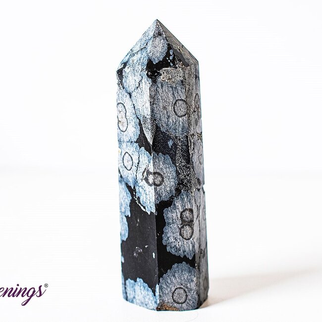 Black Snowflake Obsidian Tower Point Generator - Medium (2-3")