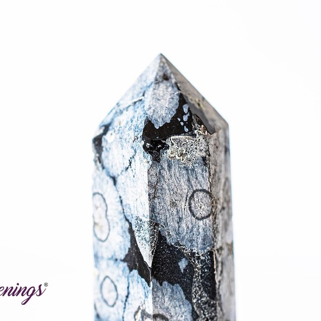 Black Snowflake Obsidian Tower Point Generator - Medium (2-3")