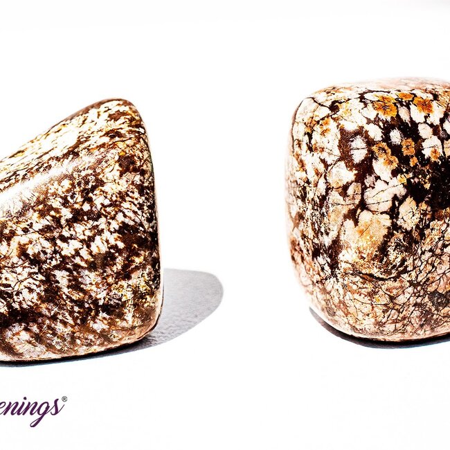 Brown (Chocolate) Snowflake Obsidian - Tumbled