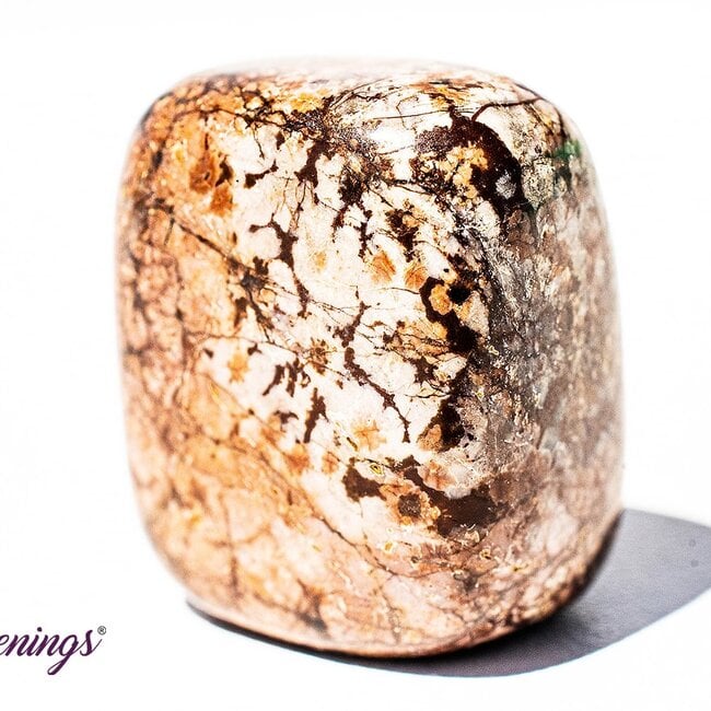 Brown (Chocolate) Snowflake Obsidian - Tumbled