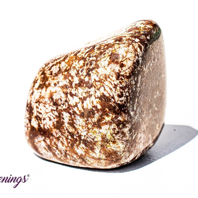 Brown (Chocolate) Snowflake Obsidian - Tumbled