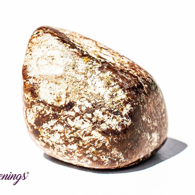 Brown (Chocolate) Snowflake Obsidian - Tumbled