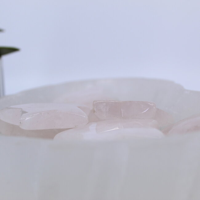 Rose Quartz Stars - Large 2"