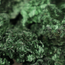 Fibirous Malachite Small - Natural Rough Raw