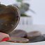 Ocean (Sea Sediment) Jasper Worry Stone - Heart