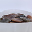 Ocean (Sea Sediment) Jasper Worry Stone - Heart