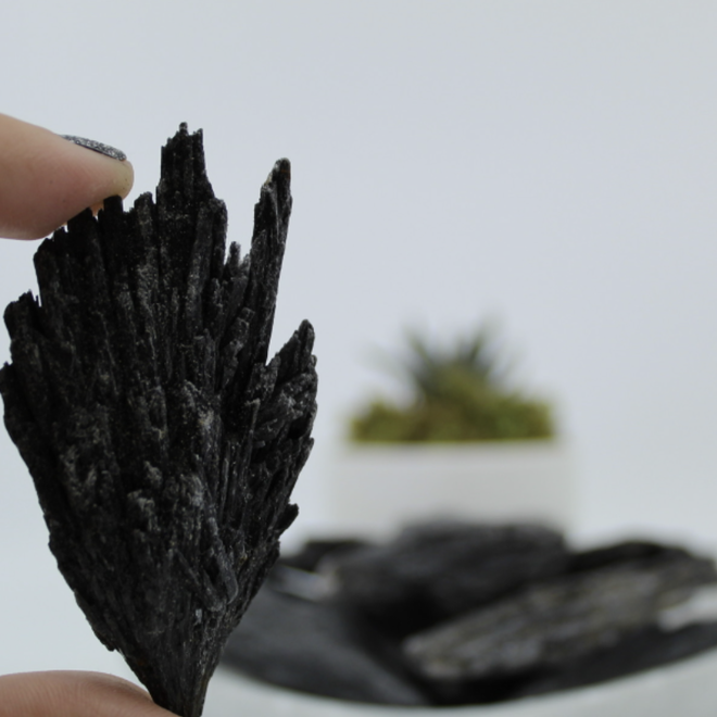 Black Kyanite Fan Large (3"-4") -Rough Raw Natural