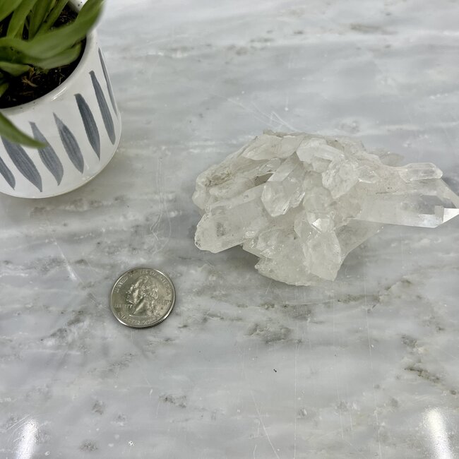 Clear Quartz Clusters -  Medium/Large (4")