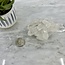 Clear Quartz Clusters -  Medium/Large (4")