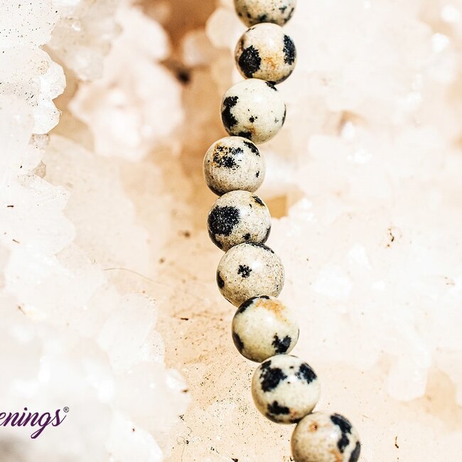 Dalmatian Jasper Bracelets - 4mm Mini