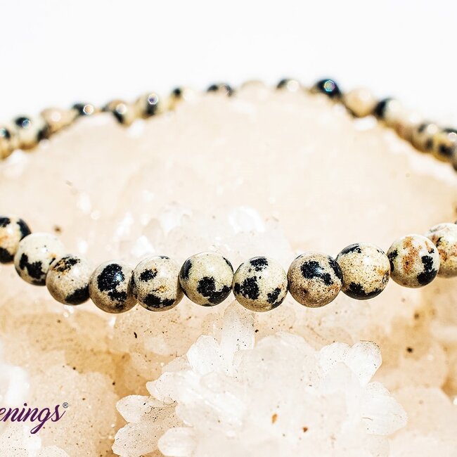 Dalmatian Jasper Bracelets - 4mm Mini