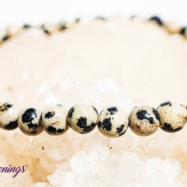 Dalmatian Jasper Bracelets - 4mm Mini