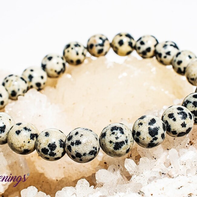 Dalmatian Jasper Bracelets - 8mm