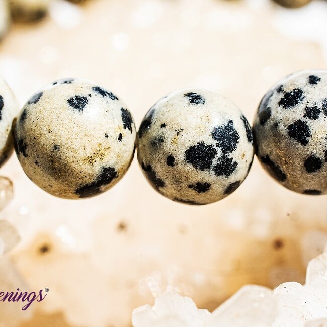 Dalmatian Jasper Bracelets - 8mm