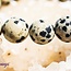 Dalmatian Jasper Bracelets - 8mm