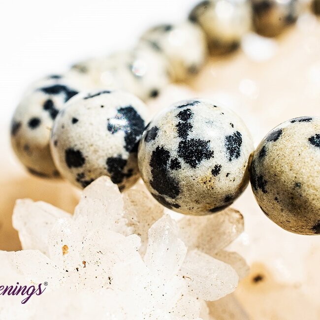 Dalmatian Jasper Bracelets - 8mm