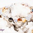 Dendritic Dendric Agate Bracelets - 8mm