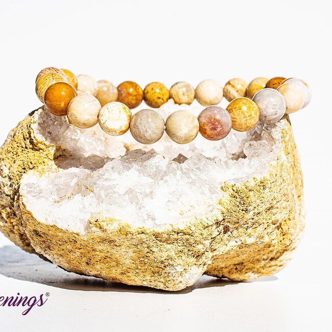 Fossilized Fossil Coral Bracelets - 8mm