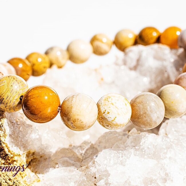 Fossilized Fossil Coral Bracelets - 8mm