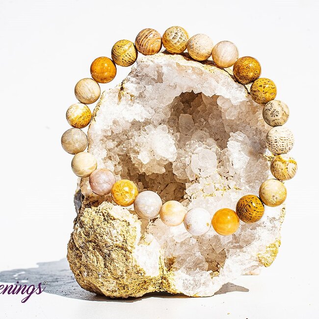 Fossilized Fossil Coral Bracelets - 8mm