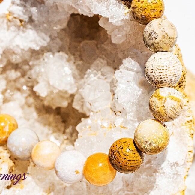 Fossilized Fossil Coral Bracelets - 8mm