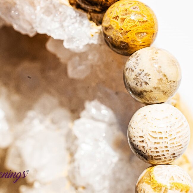 Fossilized Fossil Coral Bracelets - 8mm