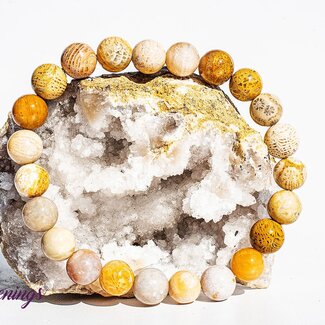 Fossilized Fossil Coral Bracelets - 8mm