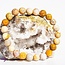 Fossilized Fossil Coral Bracelets - 8mm