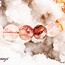 Fire Quartz (Red Hematoid) Bracelets with Rainbows (High Grade) - 7-8mm