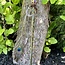 Wood Wand-Clear Quartz Point, Peacock Feather & Crescent Moon Charm- Large (17")