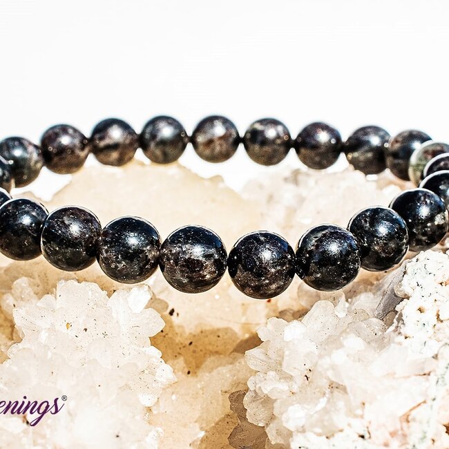 Garnet in Biotite Bracelets - 8mm