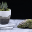 Epidote - Large Rough Raw Natural