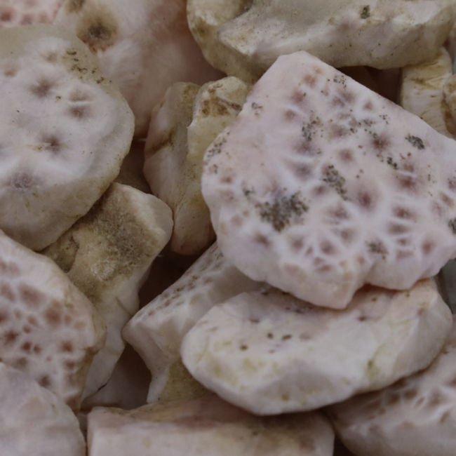 Pink Natrolite (Rhodatrolite Thomsonite Pink Larimar) -  Rough Raw Natural