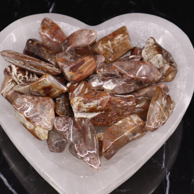 Amphibole - Small Tumbled