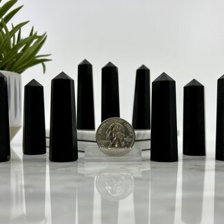 Black Tourmaline Obelisk - Tower Point Generator - Small (2-3")