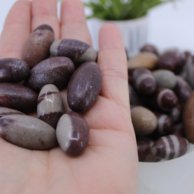 Shiva Lingam - Eggs (1") Linga