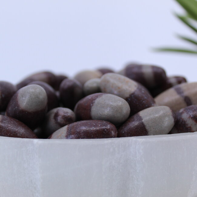 Shiva Lingam - Eggs (1") Linga