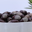 Shiva Lingam - Eggs (1") Linga