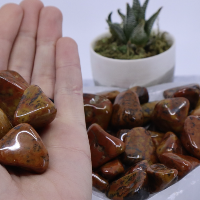 Tigers Skin Tail Jasper - Tumbled