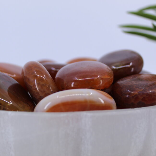 Fire Agate Palm Pillow Pocket Stone