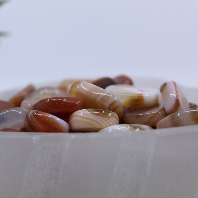 Carnelian Flat Stone - Mini