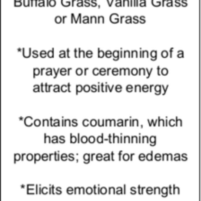 Sweetgrass Smudge Braid - 4"