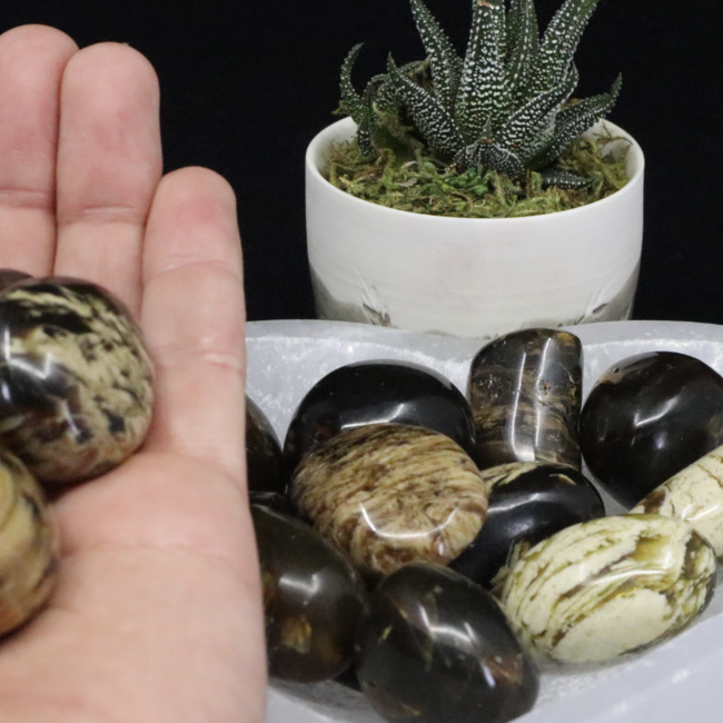 Blue Zebra Amber - Tumbled