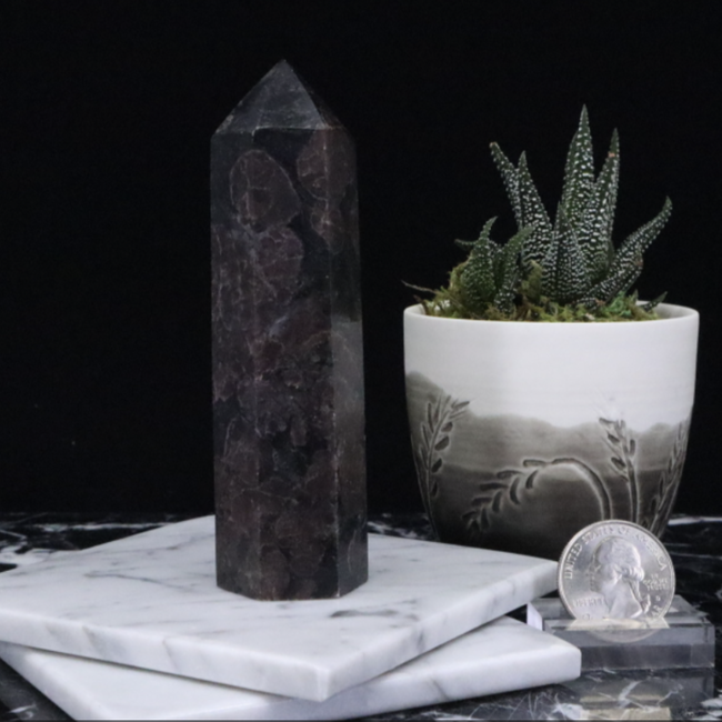 Garnet in Arfvedsonite (Fireworks Stone) Tower Point Generator - Medium (2-4")