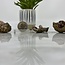 Pink Amethyst/Quartz Cluster Small-Natural Rough Raw