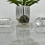 Clear Quartz Double Terminated DT Points-Small