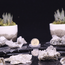 Chlorite in Clear Quartz Clusters - Garden Landscape Lodoite Phantom Ghost Quartz - Medium Rough Raw Natural