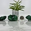 Fibrous (Velvet Atlas Ore ) Malachite - Medium Natural Rough Raw